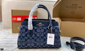 Coach Inspired Mini Darcie Carryall