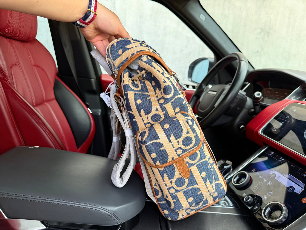Dior Inspired Hit The Road backpack