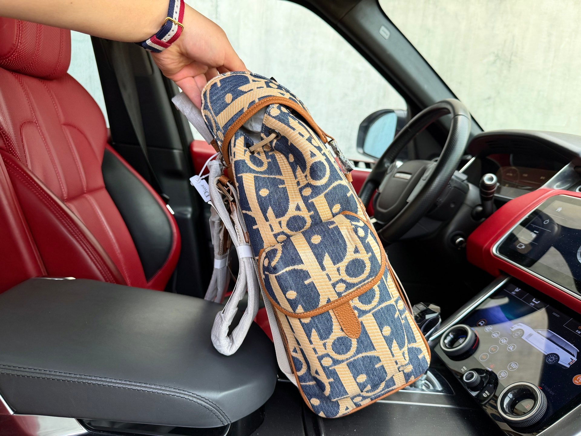 Dior Inspired Hit The Road backpack