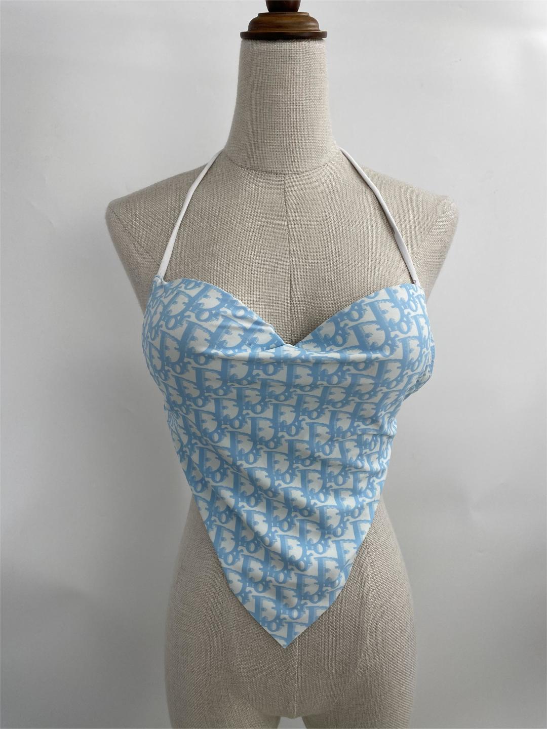 Christian Dior Inspired Bathing Suit Top