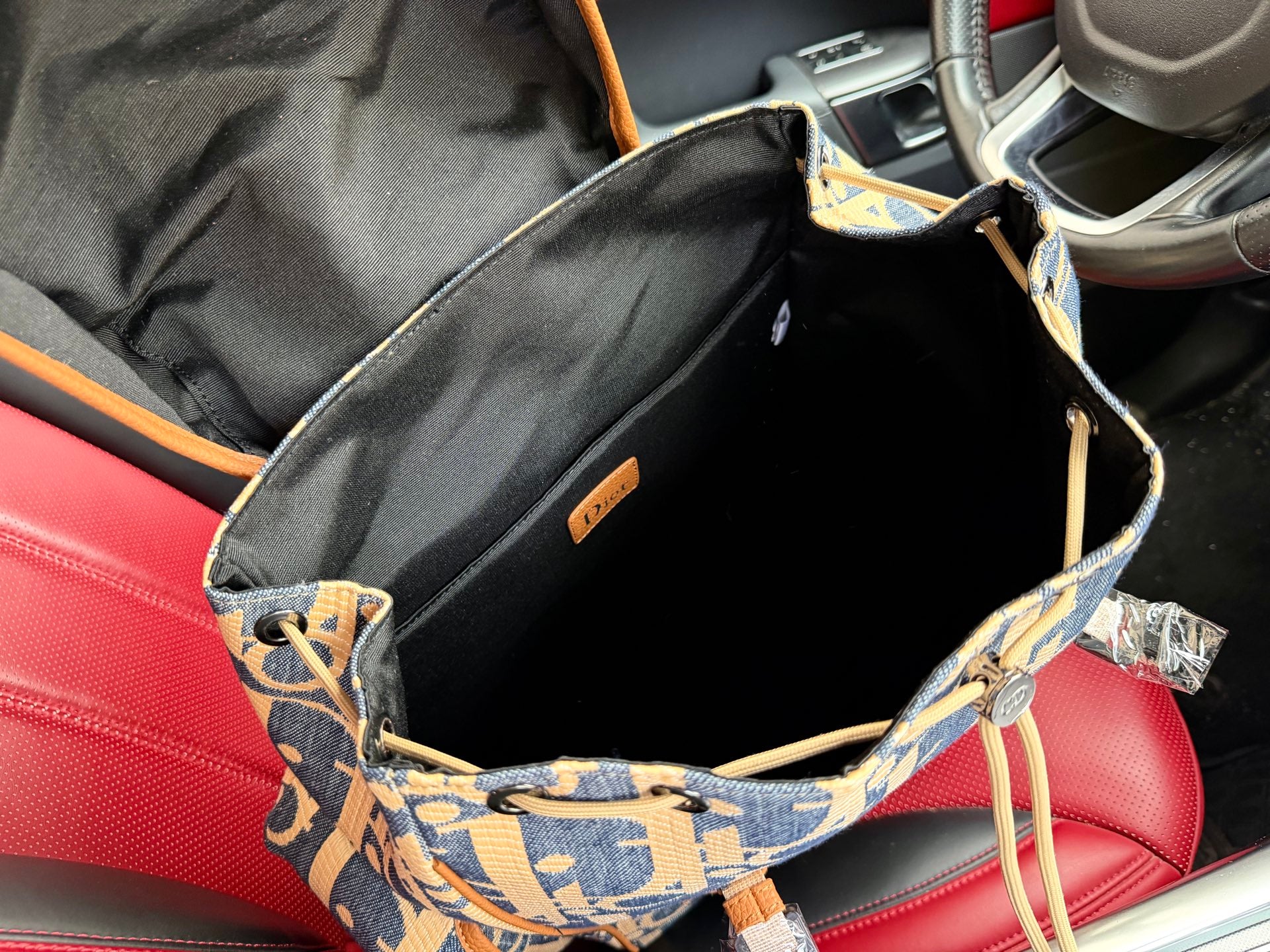 Dior Inspired Hit The Road backpack