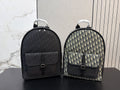 Christian Dior Inspired backpack
