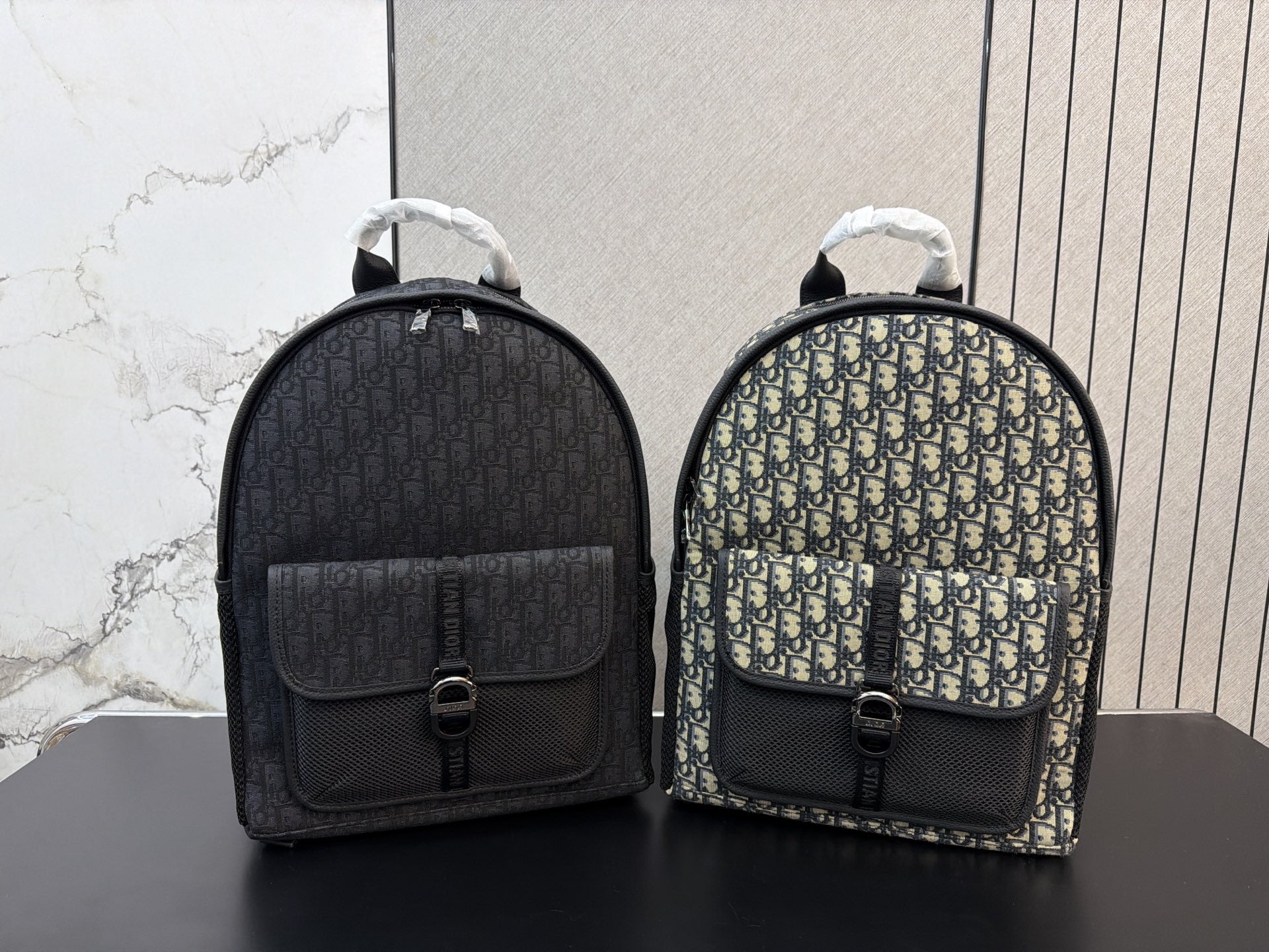 Christian Dior Inspired backpack