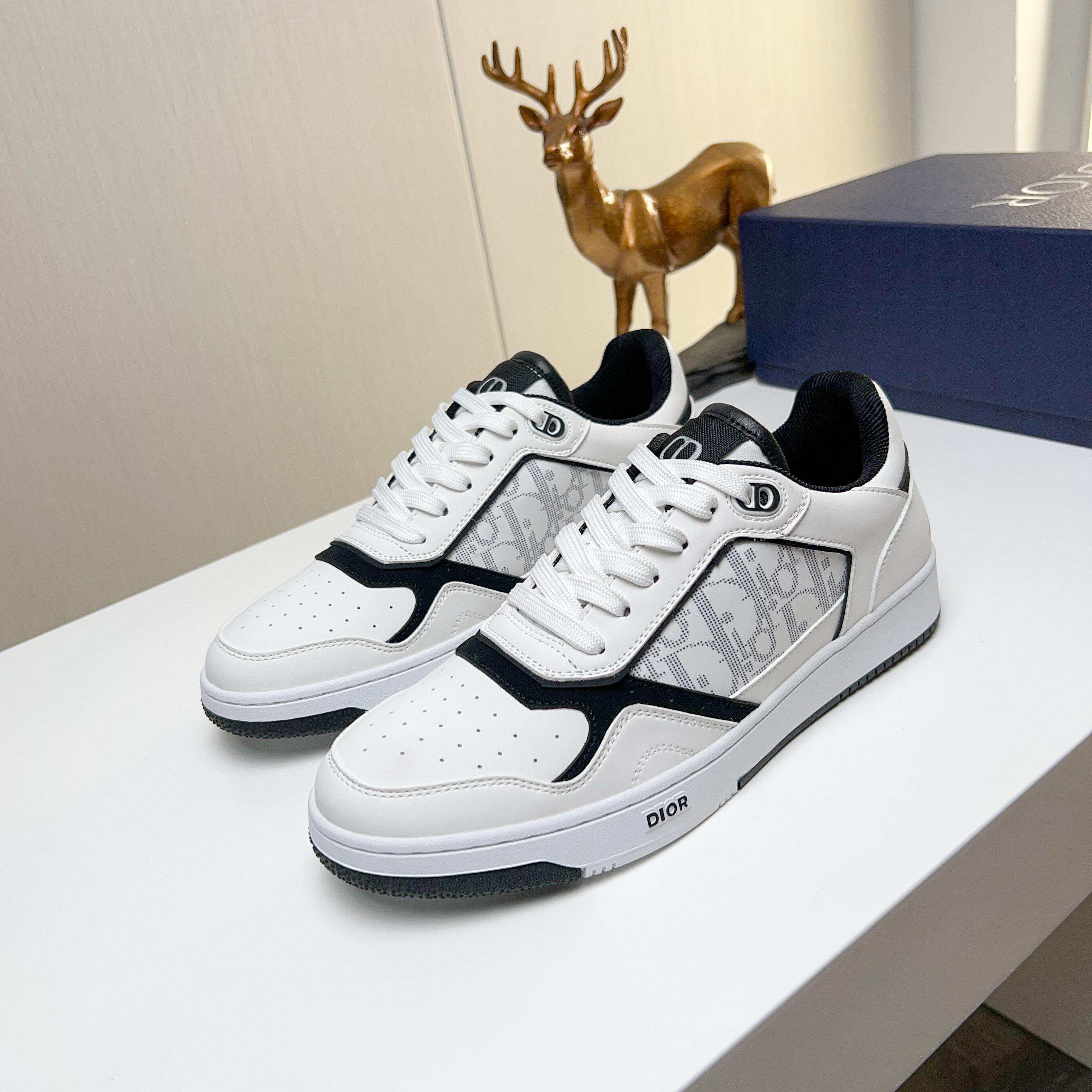 Dior Inspired B27 low-top sneaker