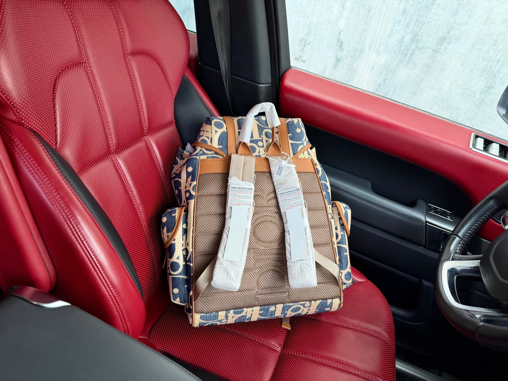 Dior Inspired Hit The Road backpack