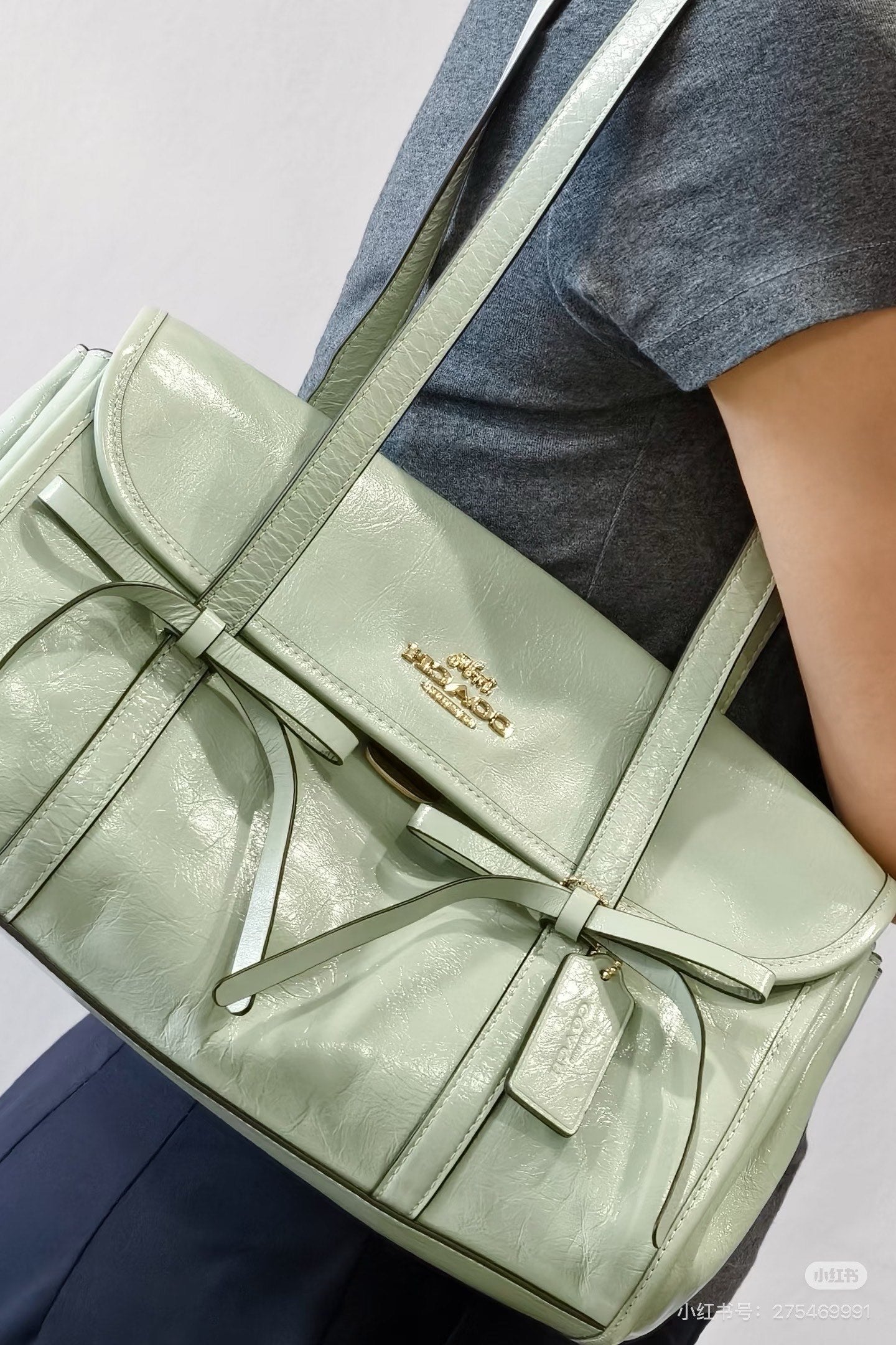 Coach Inspired Bridget Flap Shoulder Bag